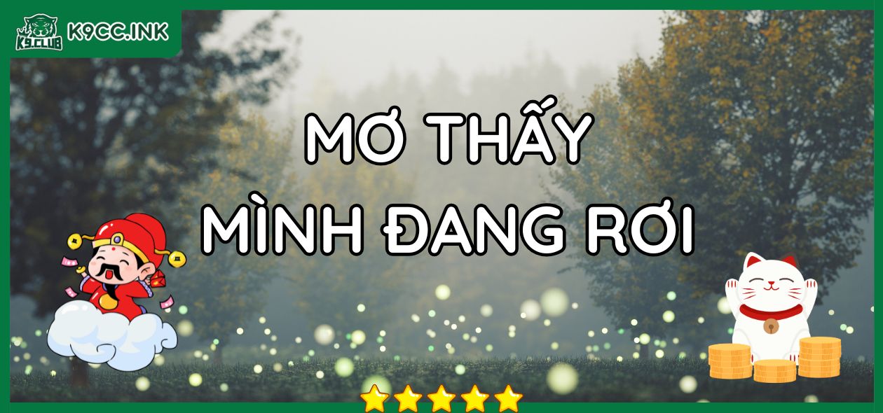 Mơ thấy mình đang rơi đánh lô đề con gì K9club