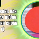 Cá cược bóng bàn K9CC
