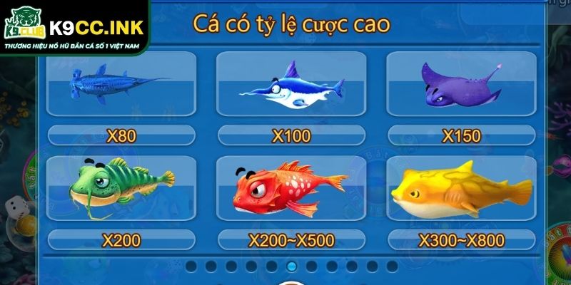 Chúa Tể Đại Dương K9CC Bí Kíp Chinh Phục Chiến Lược Săn Cá 2 Bí kíp săn và chinh phục Chúa tể Đại Dương